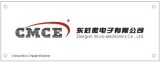 Dongxin Micro-Electronics Co., Ltd.