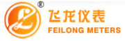 Shanghai Feilong Meters & Electronics Co., Ltd.
