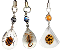 Real Insect Acrylic Mobile Phone Chain (RBSS0601)