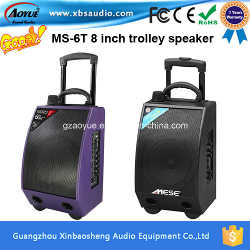 Professional Active Outdoor Useful Speaker with Wireless Microphone