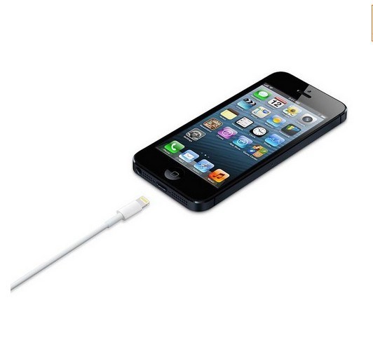 8pin USB Charger and Data Cable for iPhone 5 Cable