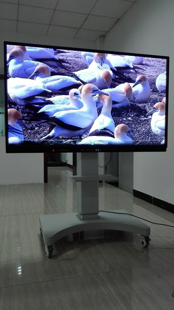 55 Inch Mutil Touch Screen for Business Conference