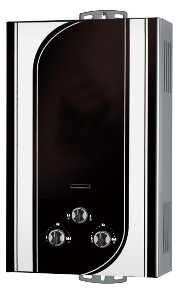 Gas Water Heater with Stainless Steel Panel (JSD-C53)