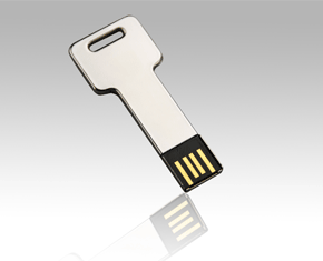 Promotion Gifts USB Flash Drive (ID034)