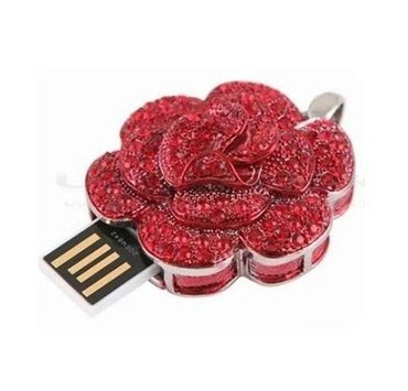 Jewelry Wristband USB Flash Drive (NS-503)