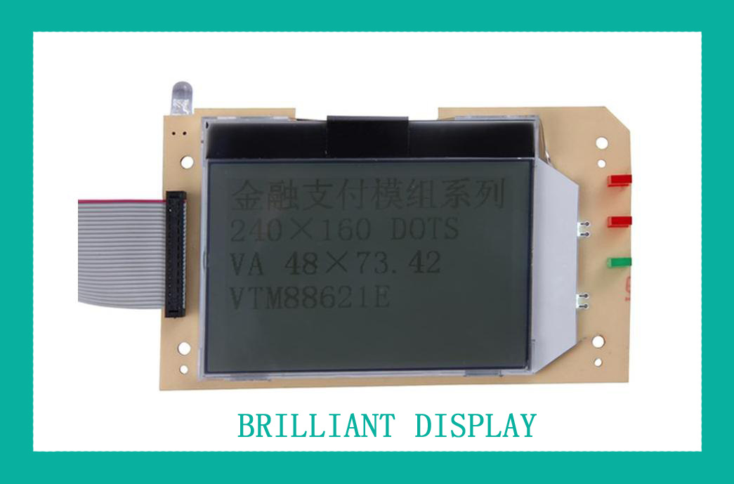 FSTN 240 X160 Dots LCD Module Display with RoHS Certification (VTM88621E)