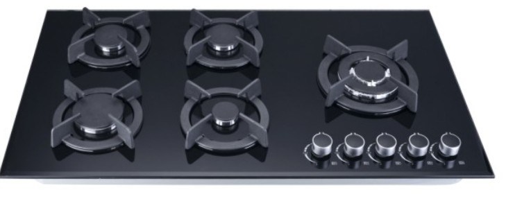 Built-in Gas Stove for Cooking