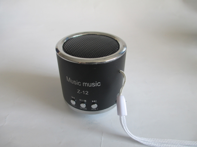 Portable Speaker Supports USB/SD Cards