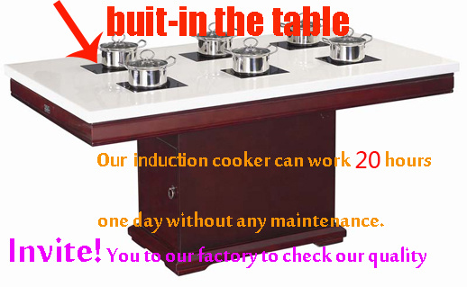 Pan Induction Cooktop Induction Stove Reviews