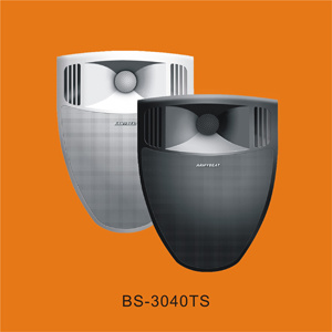 Speaker (BS-3040TS)
