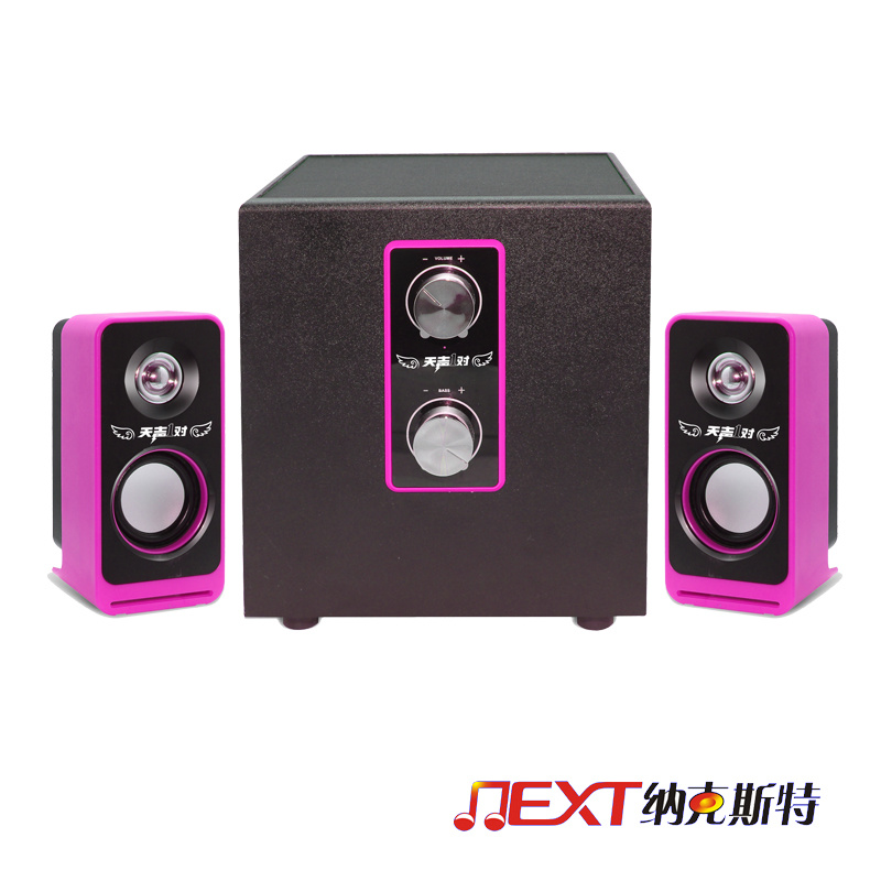 Professional Multimedia Amplified Speaker System