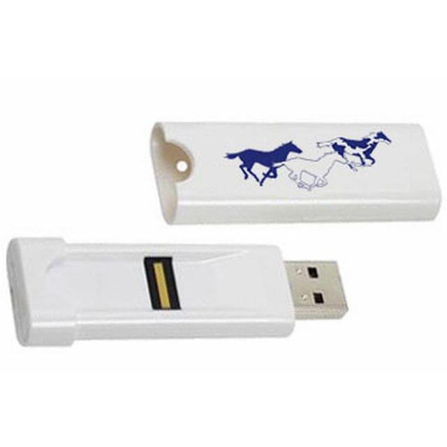 Fingerprint USB Flash Drive (GE-347)