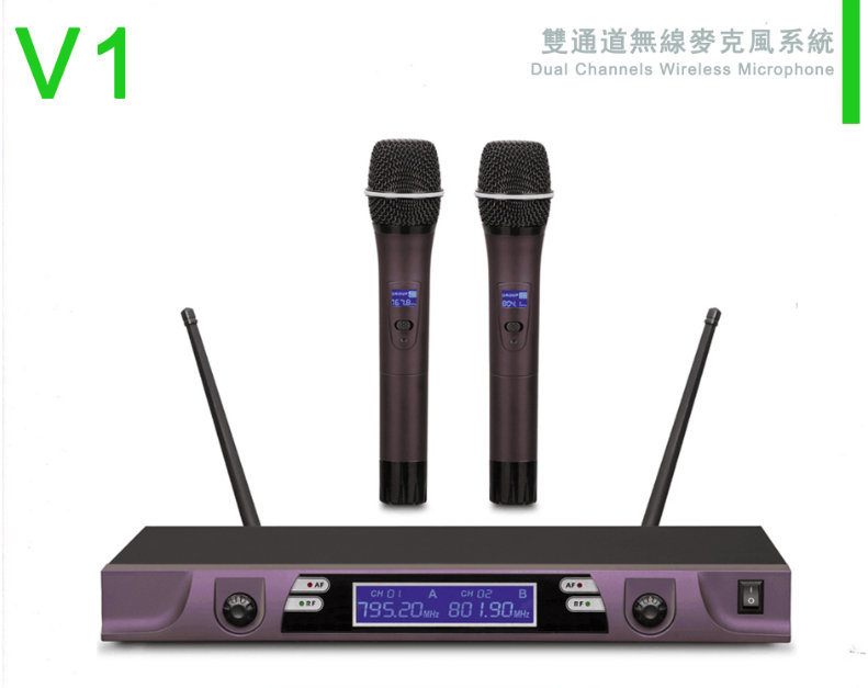 PRO Audio Dual Channels Wireless Microphone V1