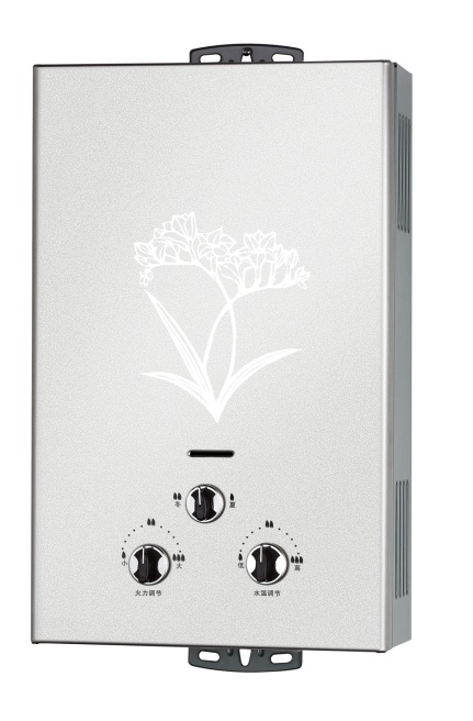 Gas Water Heater with Stainless Steel Panel (JSD-C64)