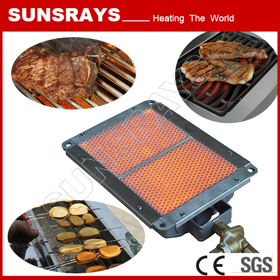 Outdoor BBQ Gas Grill with Back Burner