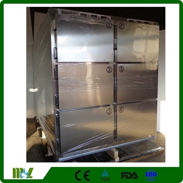 Mortuary Six Body Refrigerator with Cheap Price