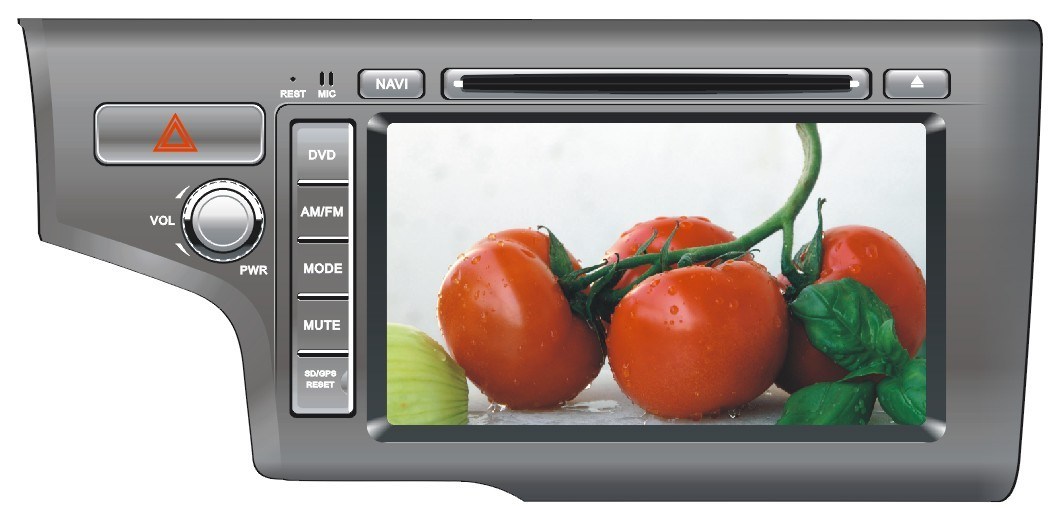 Windows CE Car DVD Player for Honda New Fit (TS8971)