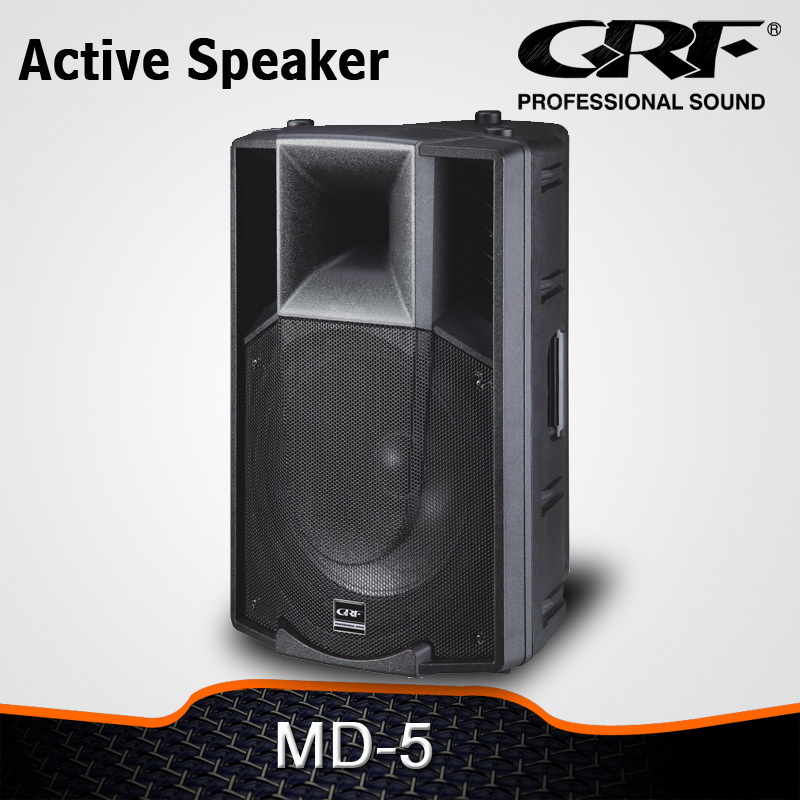 PRO Audio 15 Inch Plastic Powered Speaker