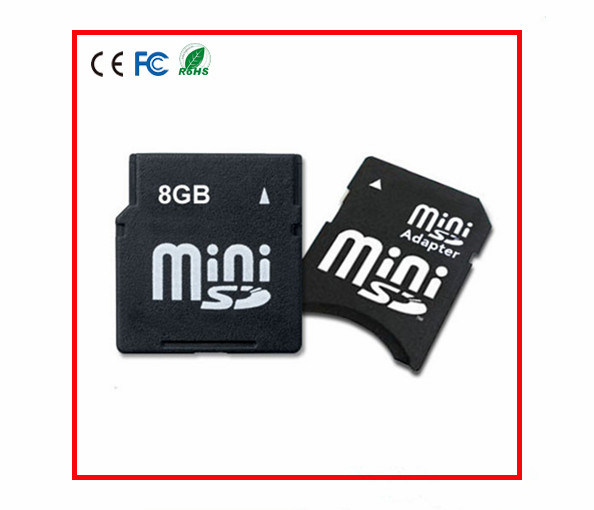 Mini SD Card Micro SD with Adapter for Cell Phone