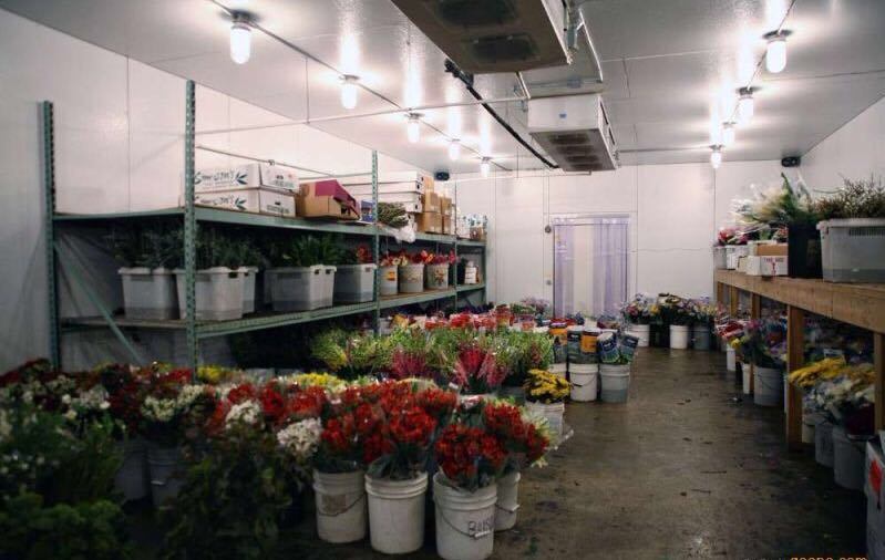 Cold Storage Room/Walk in Cold Room Price for Frozen Seafood, Meat Blast Freezer
