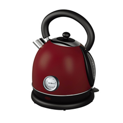 Electric Kettle with Thermometer