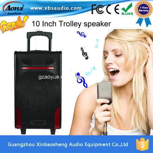 10 Inch Professional Portable Bluetooth Speaker
