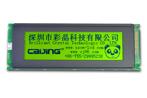 240X64 Monochrome LCD Module Display with Viewing Area 132mmx39mm