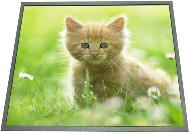 19 Inch Ultra-Thin Advertisement LCD Display