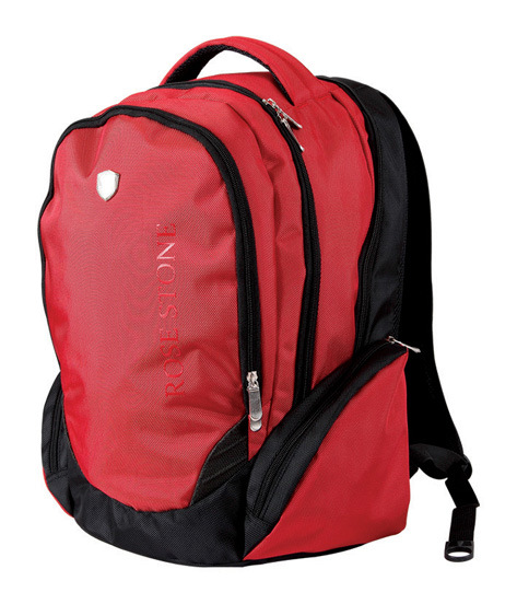 Laptops Backpack (DSP-LB-B0006)
