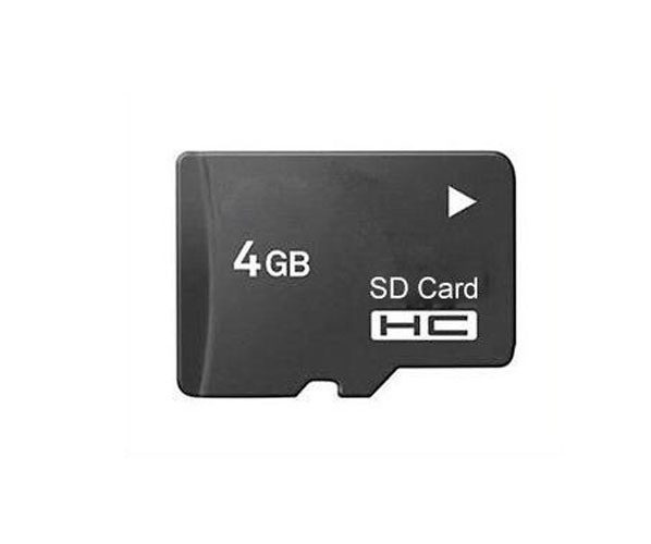 OEM High Quality Mini SD Card