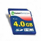 Secure Digital High Capacity Memory Card (S-010)