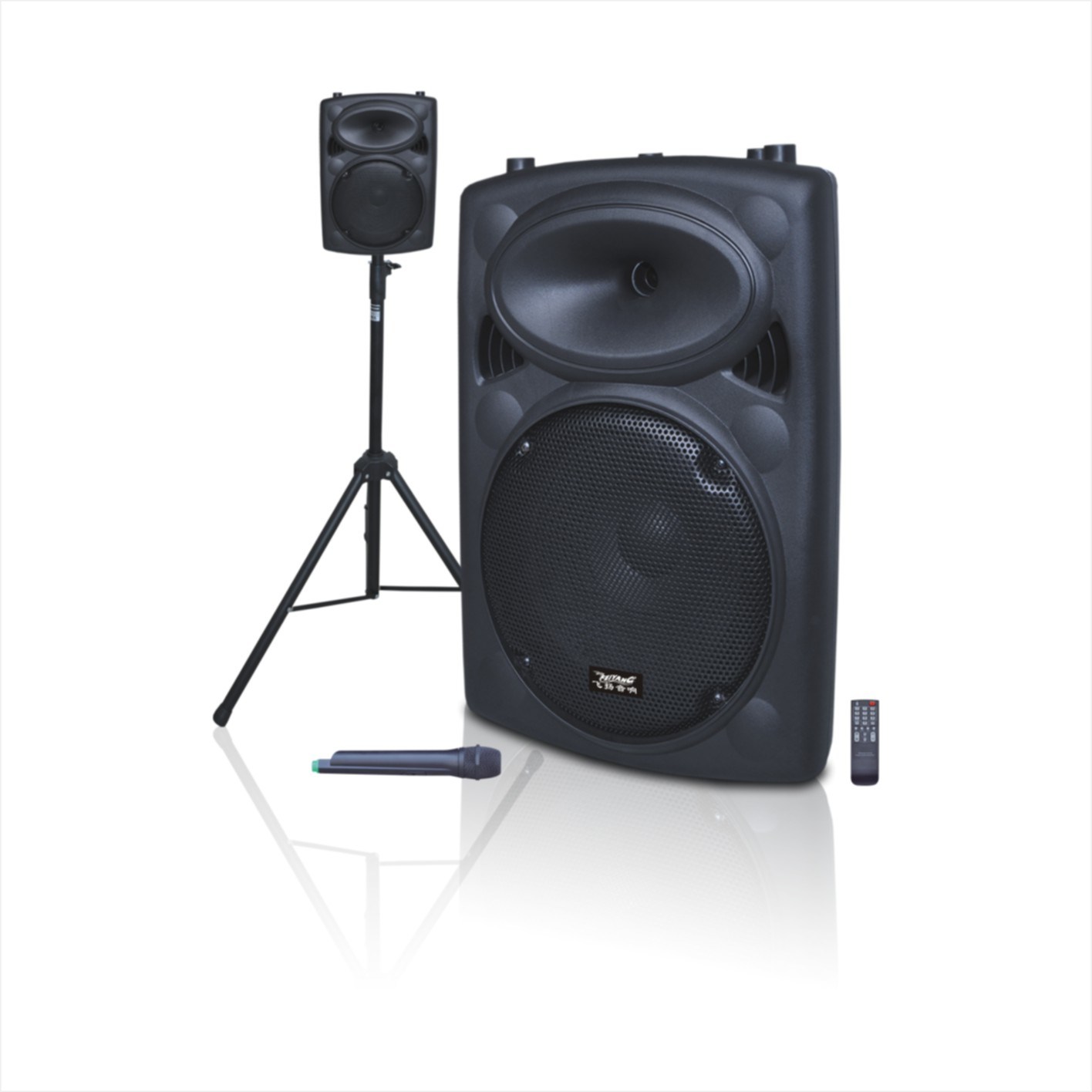 12 Inch Stage Speaker with Speaker Stands Mic Remote F6814