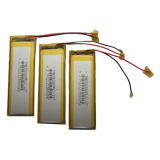 Lithium-Ion Polymer Battery