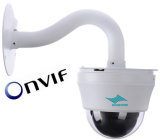 OEM Dome IP Camera with FCC and CE Approved