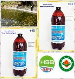 Alage Bio Agent Aquaculture Water Purifier in Liquid