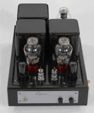 Tube Amplifier (E3001)