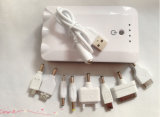Private Mould 14000mAh Mobile Phone Charger