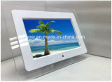 Shenzhen Factory LCD Screen 10.1 Inch Digital Photo Frame