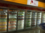 Soft Drink Commercial Upright Glass Door Refrigerator with Ce