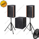 Ds-1560 High Power Portable 2.0 Karaoke DJ PA Speaker