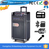 Single 10 Inch Portable Trolley Speaker with DVD Player