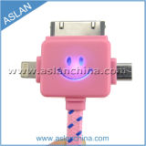 Braided USB Data Cable for iPhone 5 (ACM-033-01)