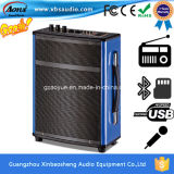 Professional Rechargeable Trolley Portable Active PA Speaker