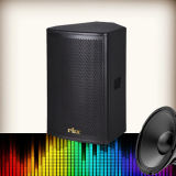 QS-1230 12 Inch 2-Way Full Range 350W Outdoor Stage Speaker Boombox