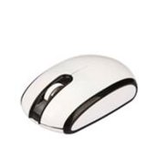 Wireless & Optical Mouse