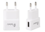 Most Popular Power Wall Travel USB Charger for Samsung