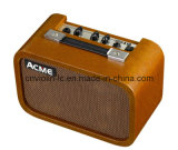 10W Acoustic Amplifier (FGB-10)