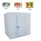 Cold Room for Vegetable/Fruit/Fish/Cold Storage Room