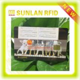 PVC RFID Smart Chip Contact / Contactless IC Card