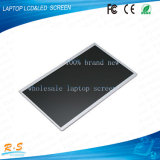 Ltl101al06-W02 10.1 Inch Laptop Lvds TFT LCD Display